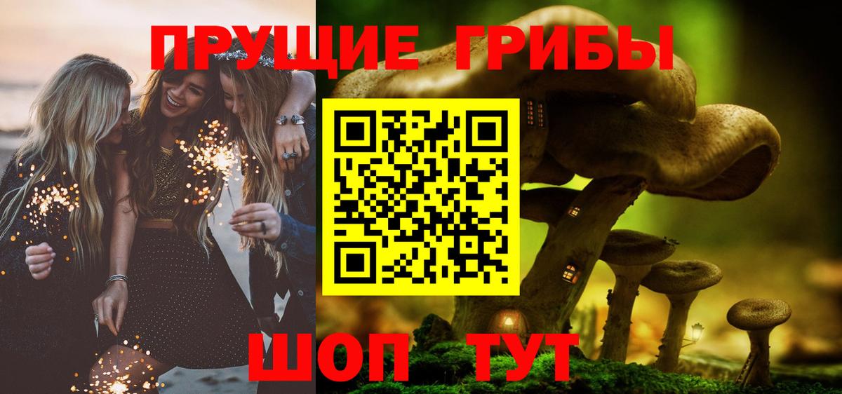 Галлюциногенные грибы Psilocybe  Вход с VPN  Артём  Галлюциногенные грибы мицелий 
